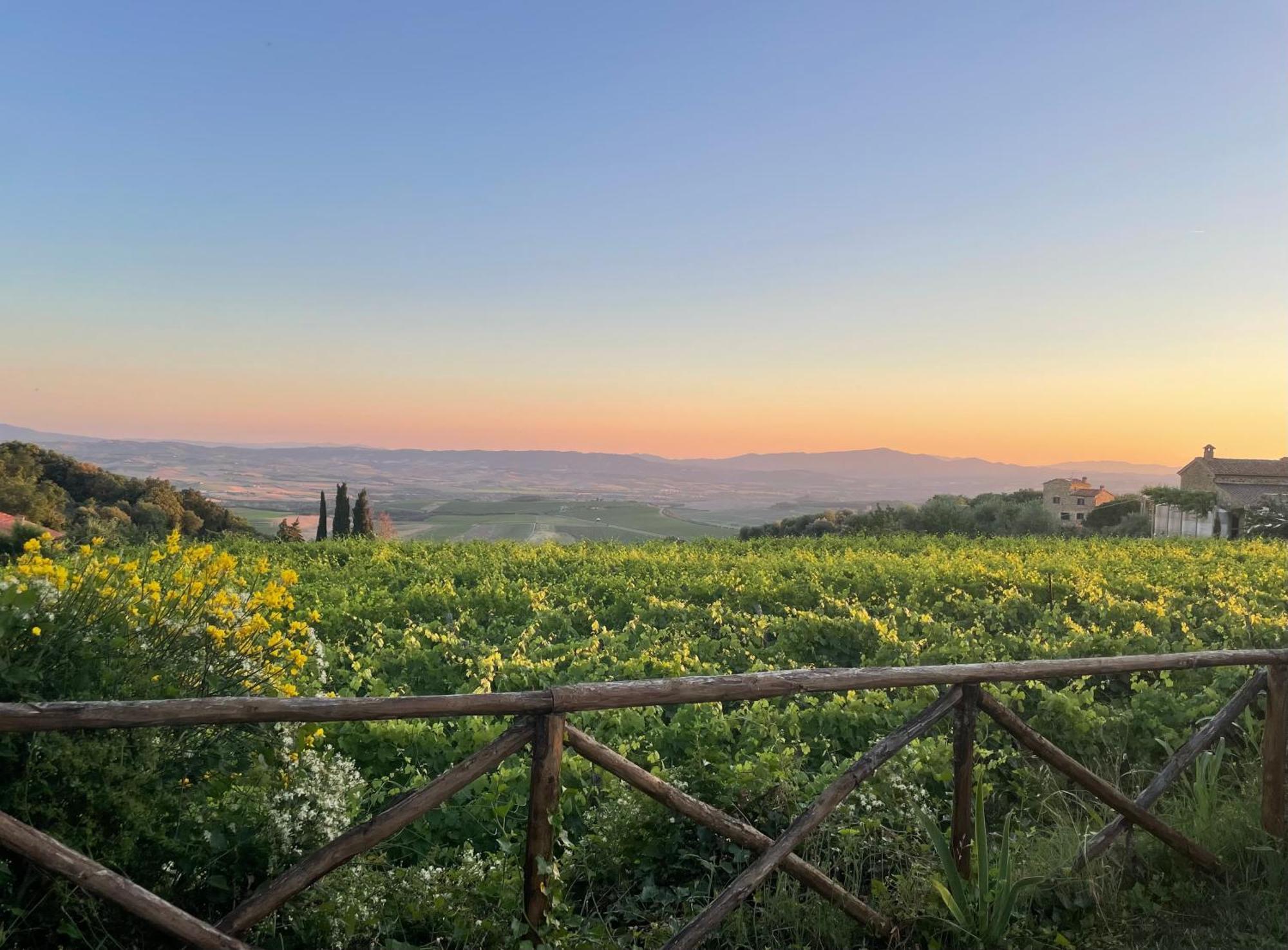 Апартаменти Castel Brunello Монтальчино Екстер'єр фото